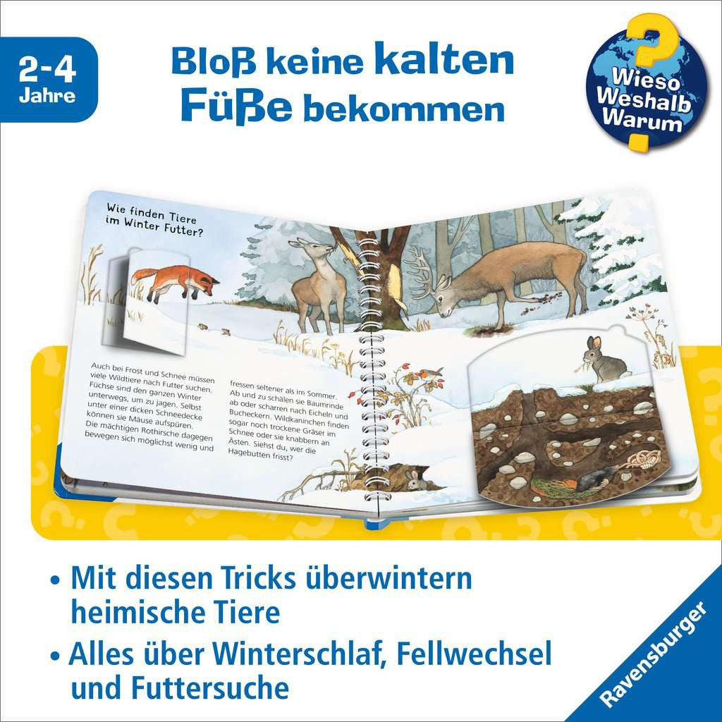 WWW Junior Band 31 - Tiere im Winter 60.095 - Bild 2