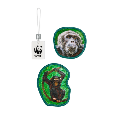 Step by Step Magic Mags WWF Monkeys