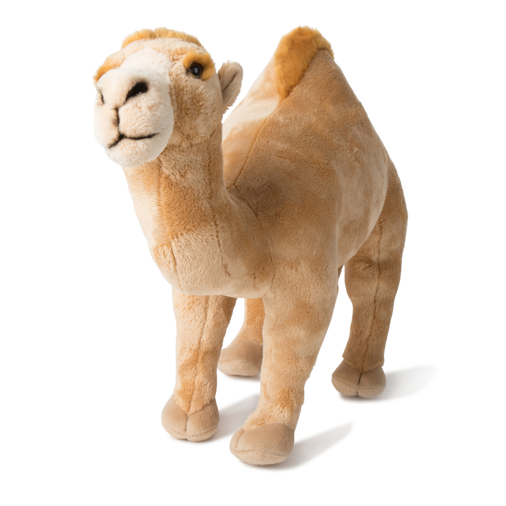 WWF Dromedar beige stehend 38 cm - Bild 1
