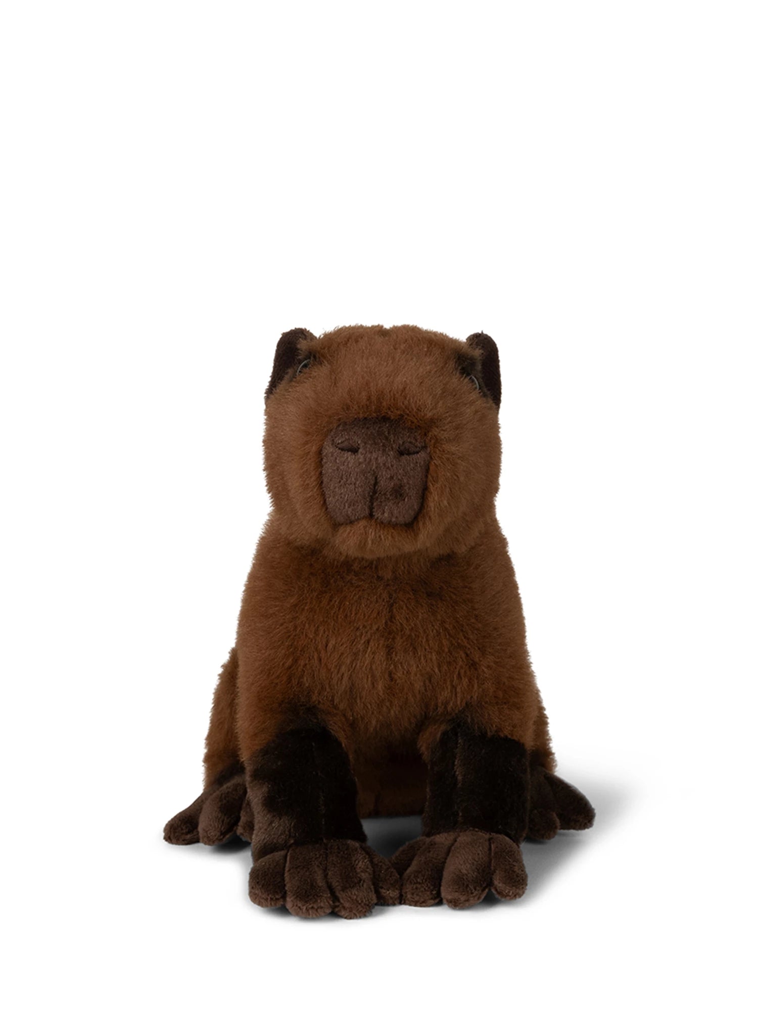 WWF Capybara sitzend 23 cm - Bild 1
