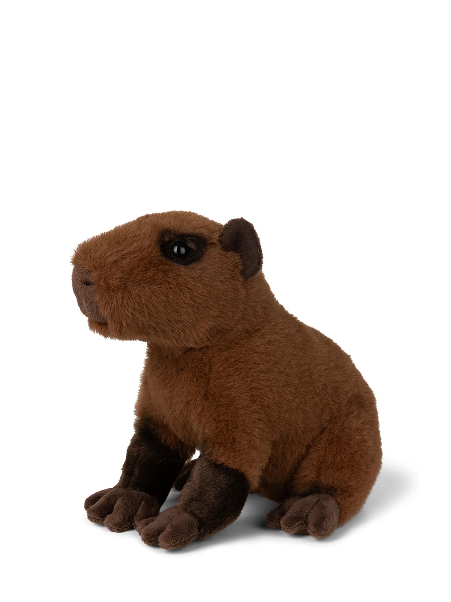WWF Capybara sitzend 23 cm - Bild 2