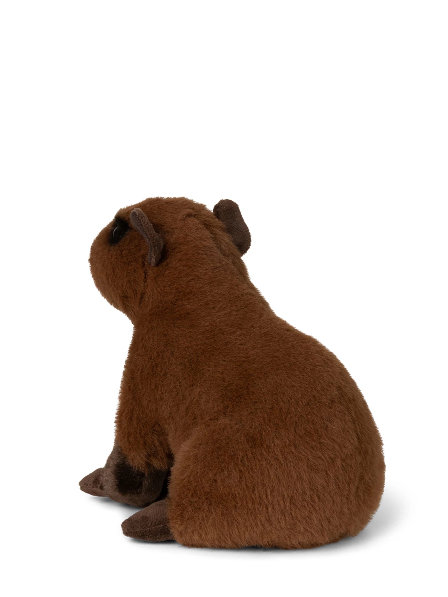 WWF Capybara sitzend 23 cm - Bild 3