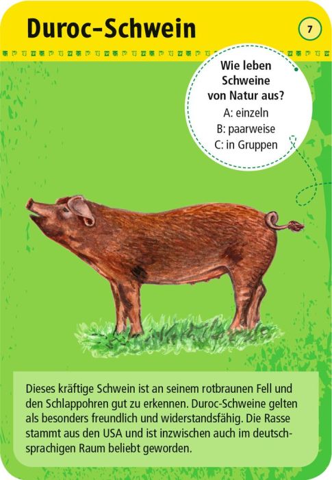 50 Tiere auf dem Bauernhof - Bild 2