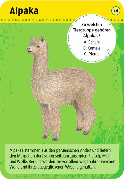50 Tiere auf dem Bauernhof - Bild 4