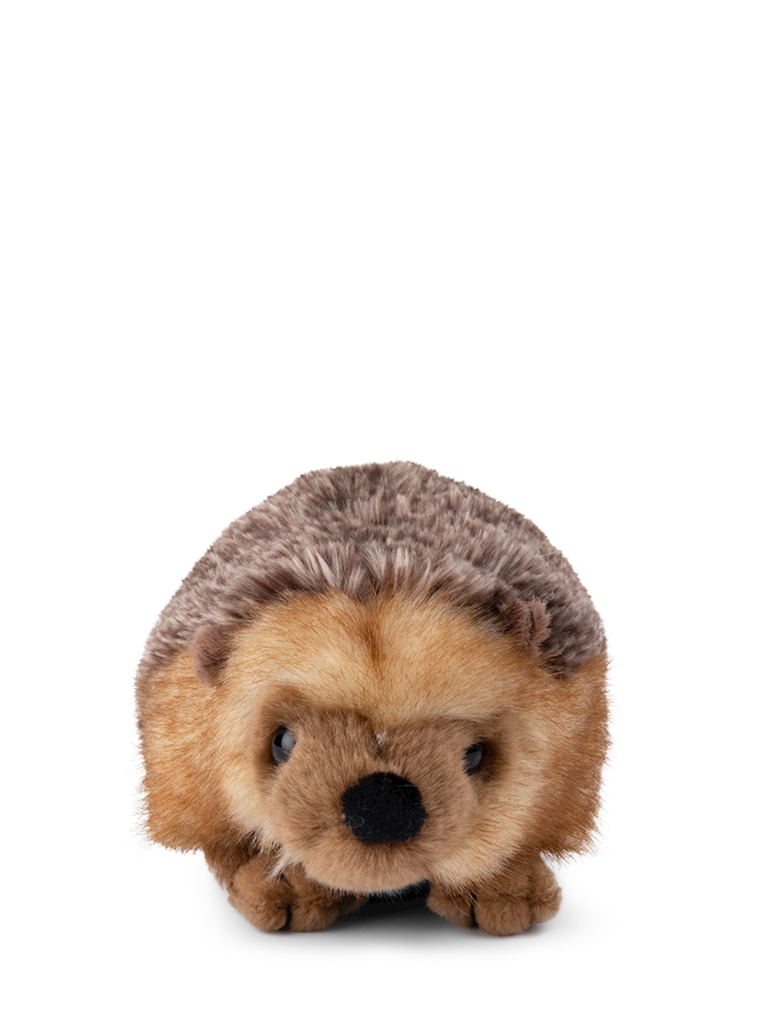 WWF WWF Igel 18 cm - Bild 2