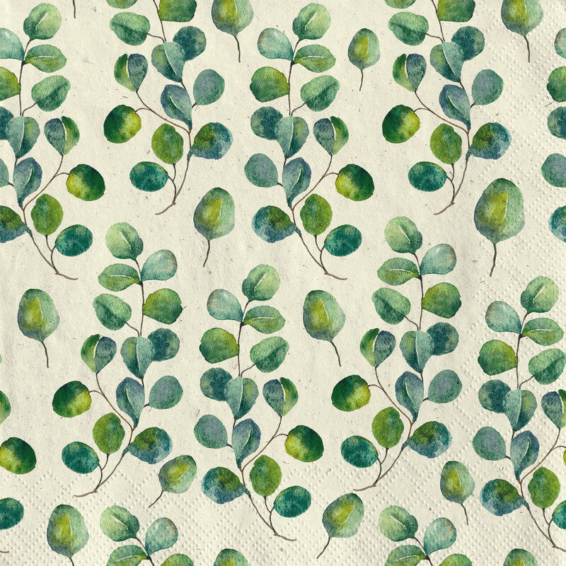 Servietten Eucalyptus aus Gras Zellstoff 33x33 cm - Bild 1