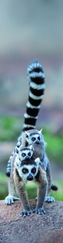 Lesezeichen Lemur Family 3D - Bild 1