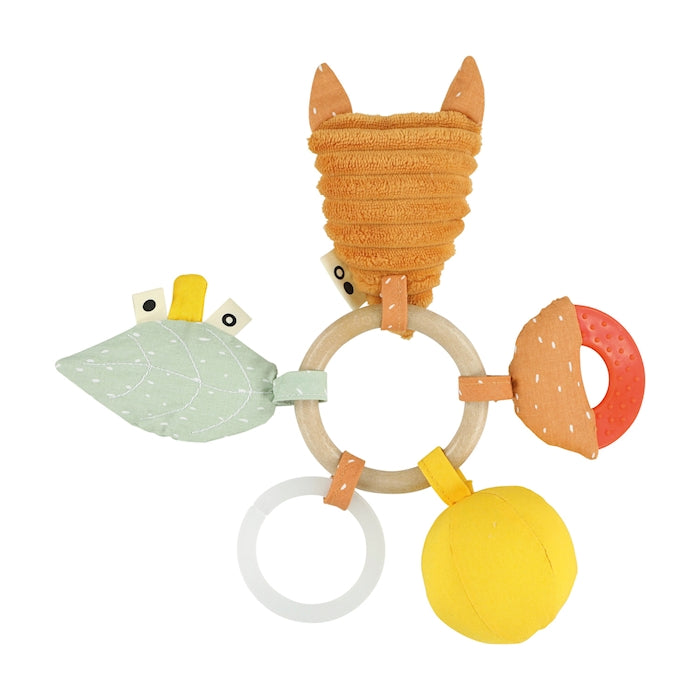 Aktivitätsring Fuchs - Bild 2