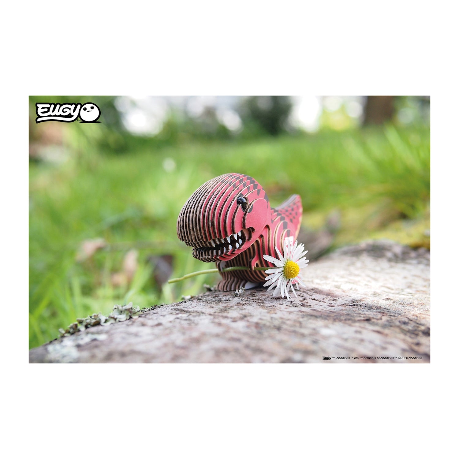 3D Bastelset Tyrannosaurus - Bild 5