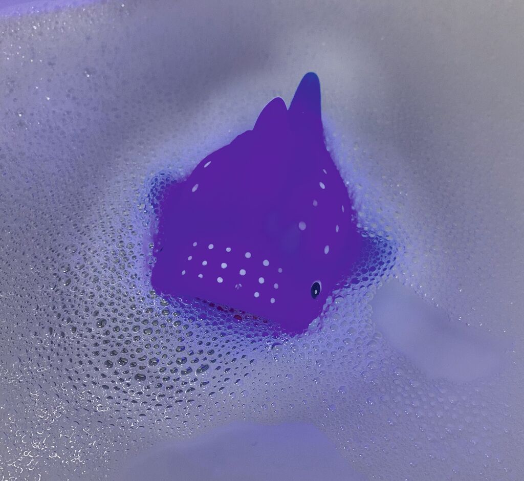 Leuchtendes Meerestier - Bild 5