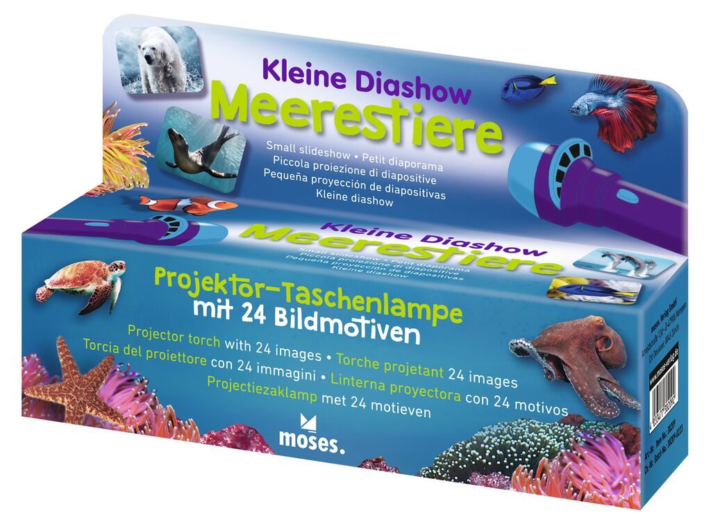 Kleine Diashow Meerestiere - Bild 1