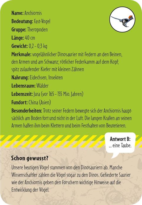 50 Dinosaurier - Bild 3
