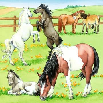 Puzzle 3x49 Teile WWW, Ein Tag auf dem Reiterhof 5.129 - Bild 3