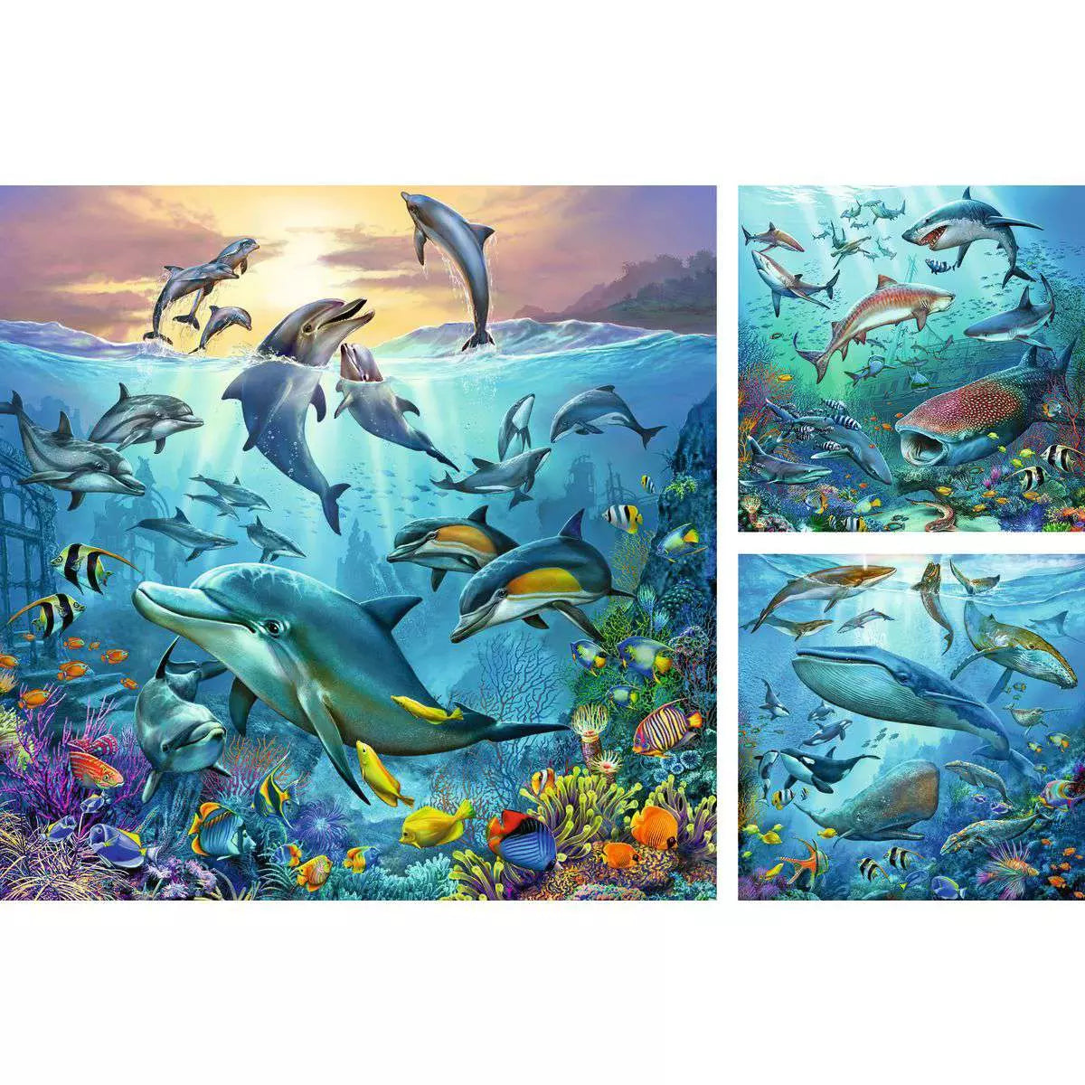 Puzzle 3x49 Teile Tierwelt des Ozeans 05.149 - Bild 2