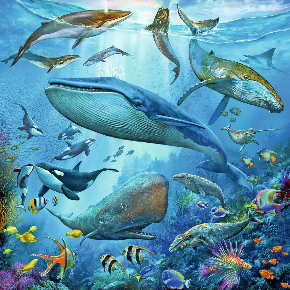 Puzzle 3x49 Teile Tierwelt des Ozeans 05.149 - Bild 3