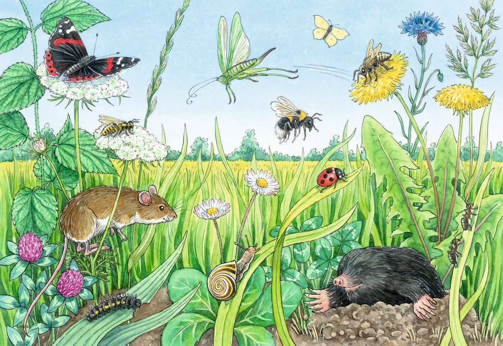 WWW Puzzle 2x12 Teile Tiere im Wald und auf der Wiese 05.673 - Bild 3