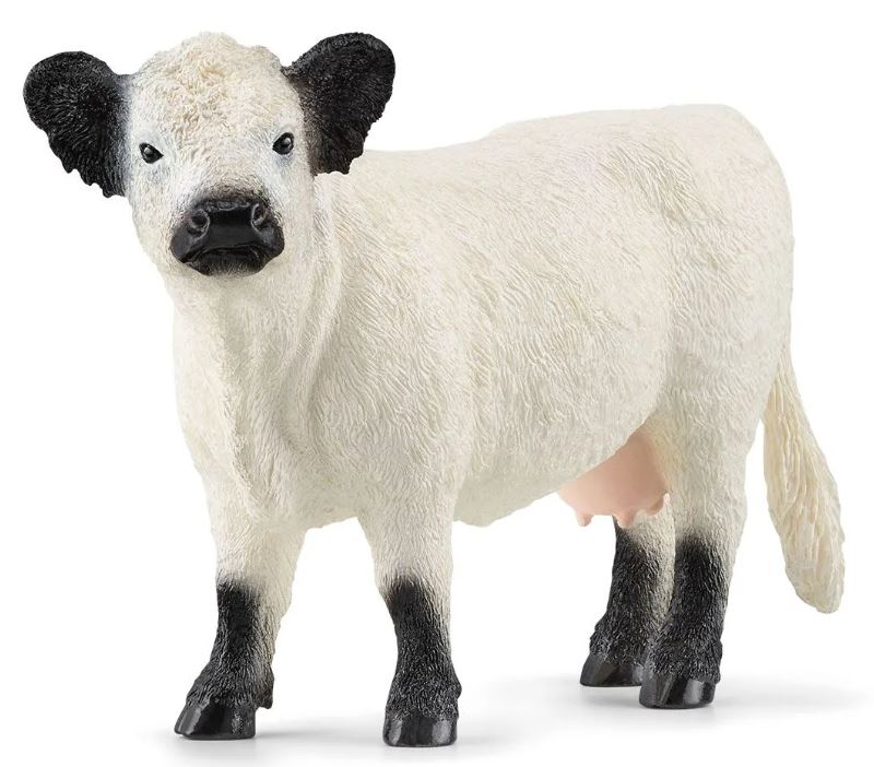 Schleich Galloway Kuh 13960 - Bild 1