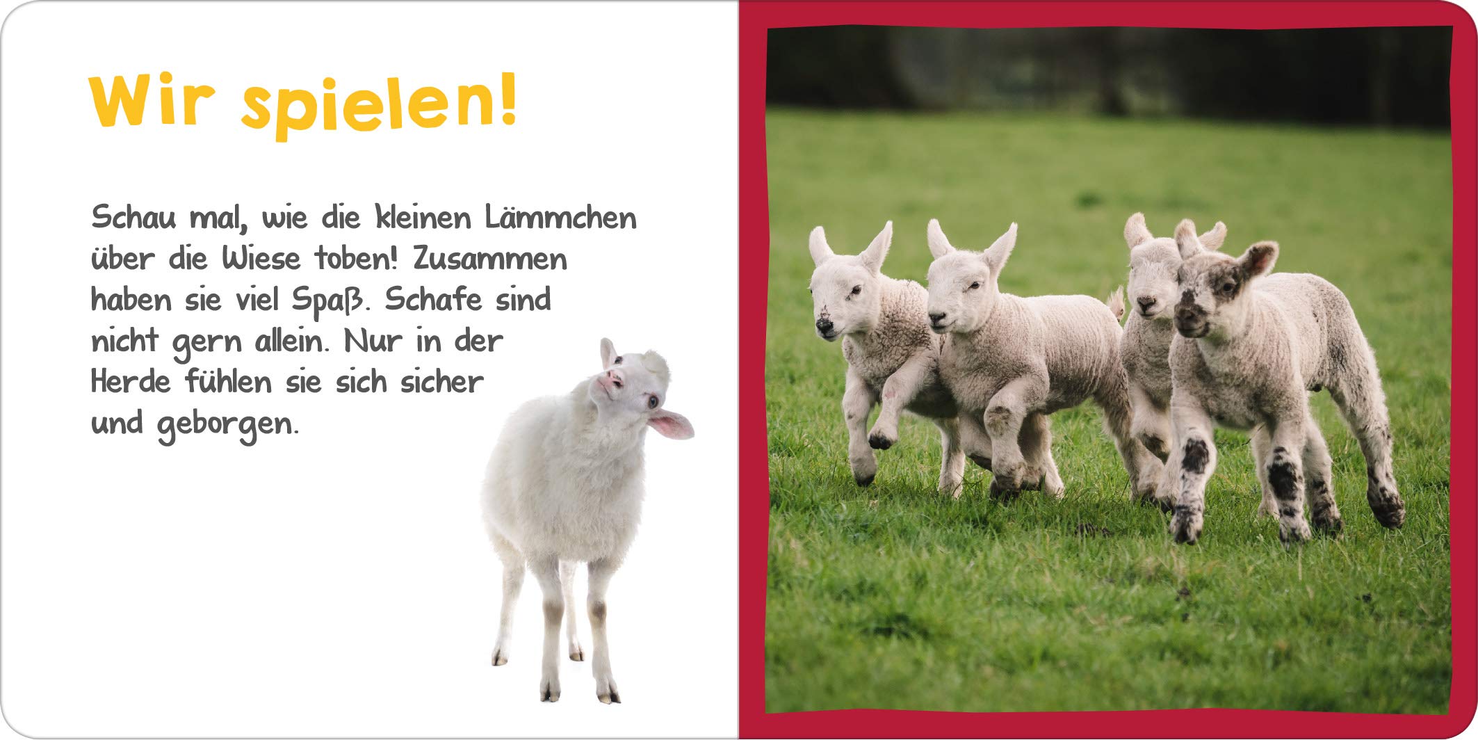 Hör mal rein! Mini : Das Lamm - Bild 3