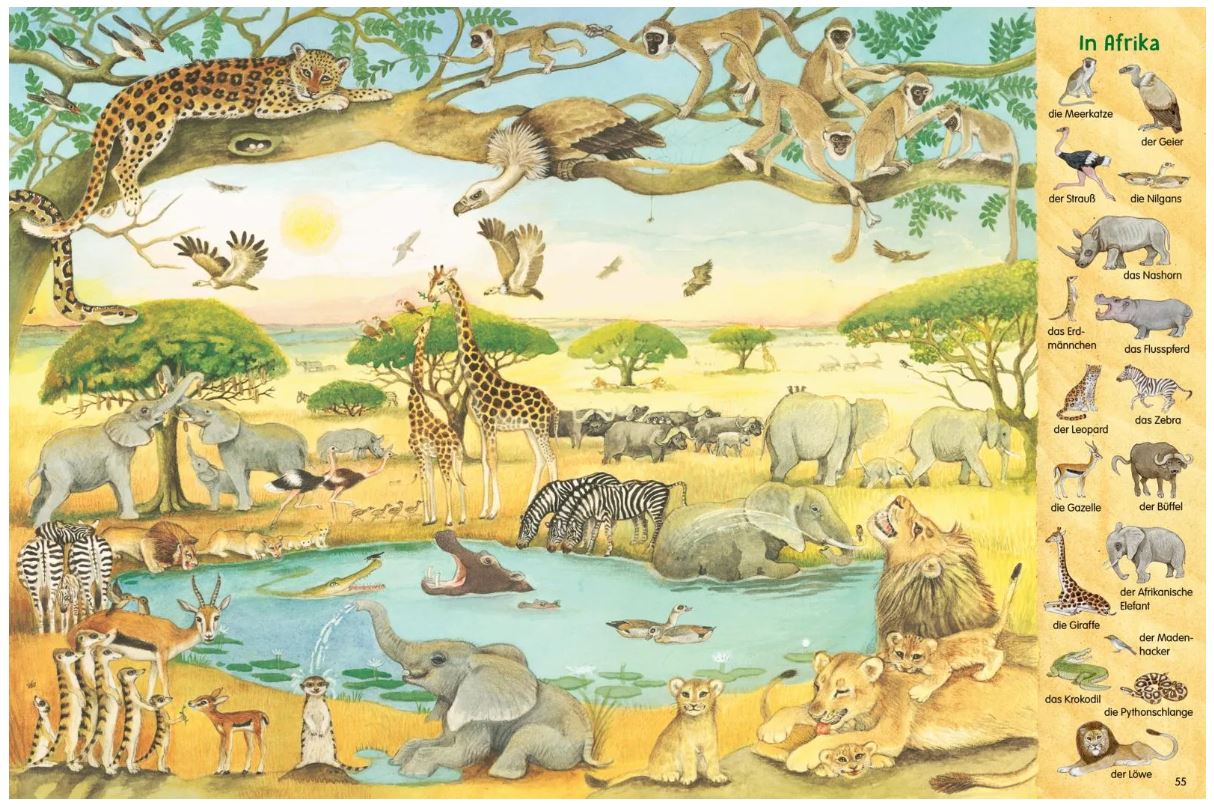 Das 1000 Tiere Wimmelbuch - Bild 4