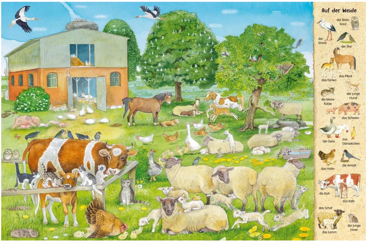 Das 1000 Tiere Wimmelbuch - Bild 3