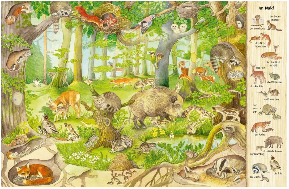 Das 1000 Tiere Wimmelbuch - Bild 2