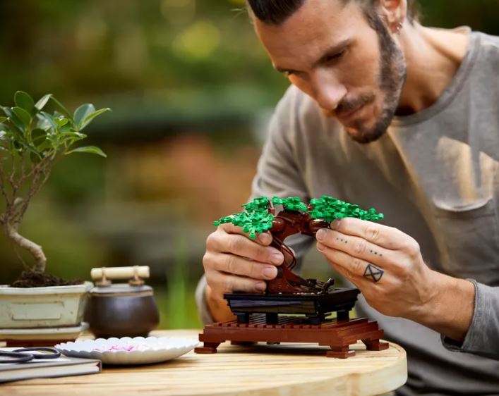LEGO Creator Bonsai Baum 10281 - Bild 4