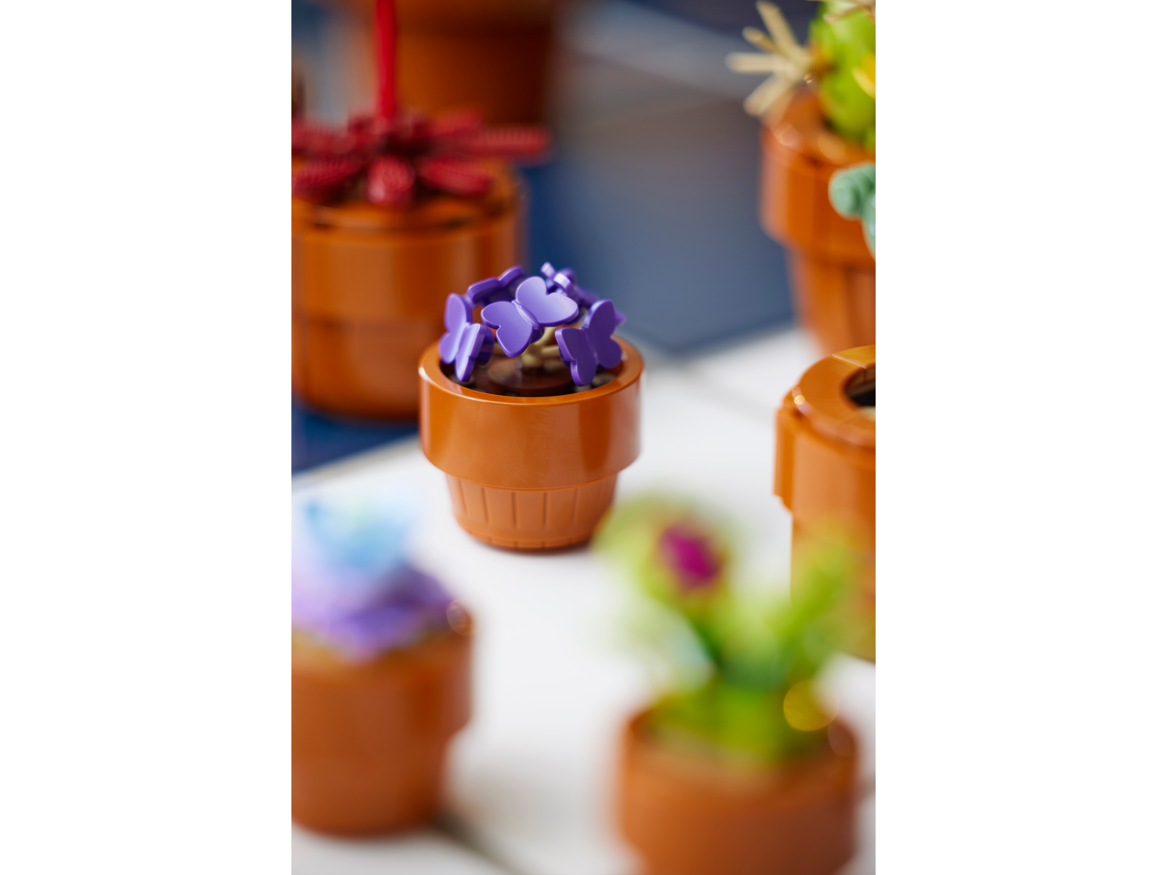 LEGO ICONS Mini Pflanzen 10329 - Bild 5