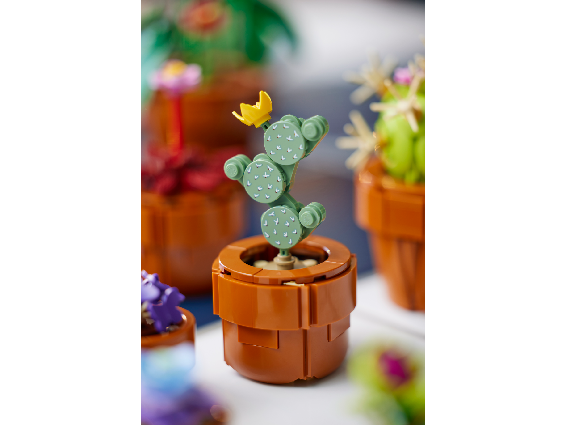 LEGO ICONS Mini Pflanzen 10329 - Bild 4