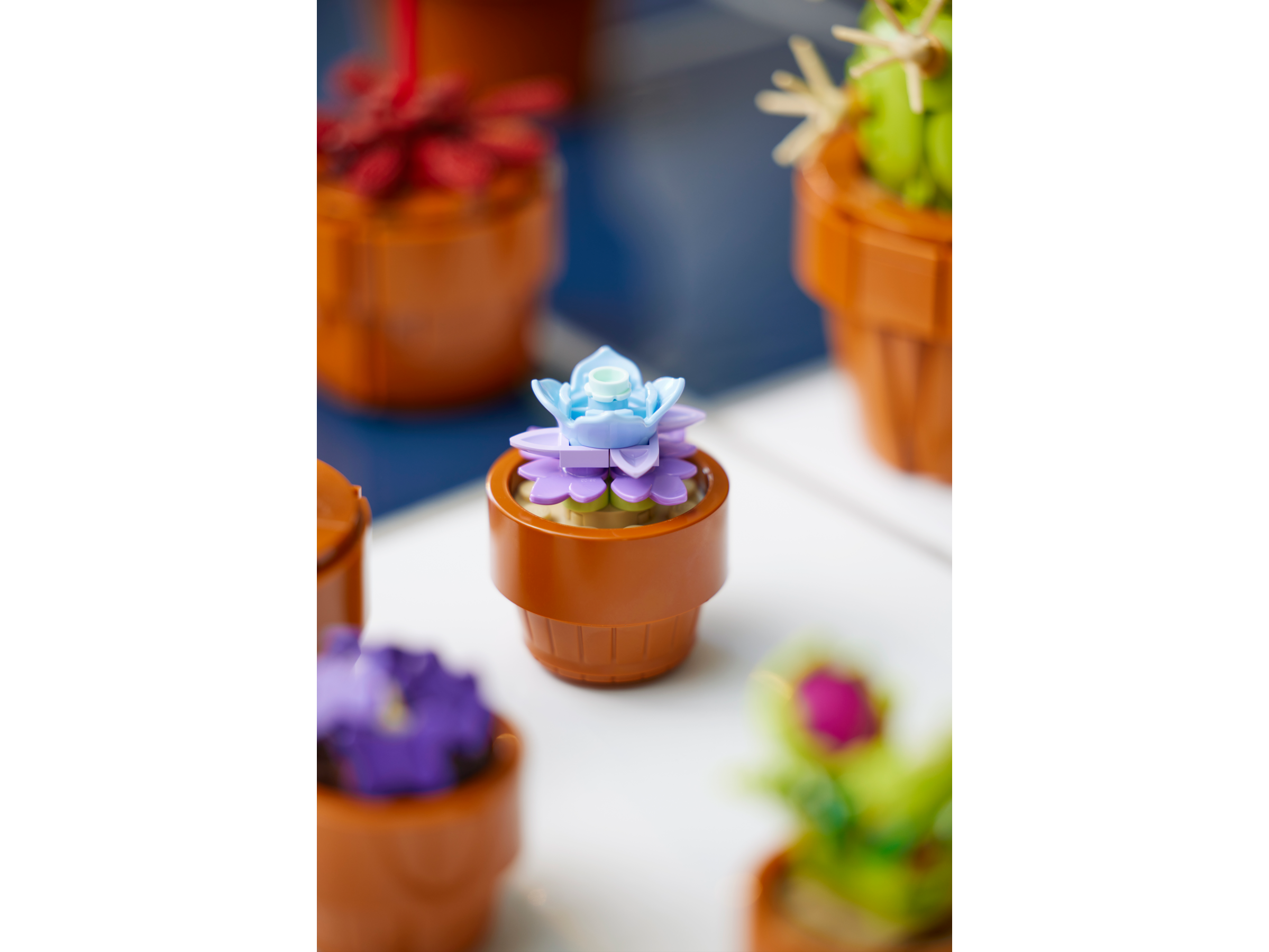 LEGO ICONS Mini Pflanzen 10329 - Bild 6