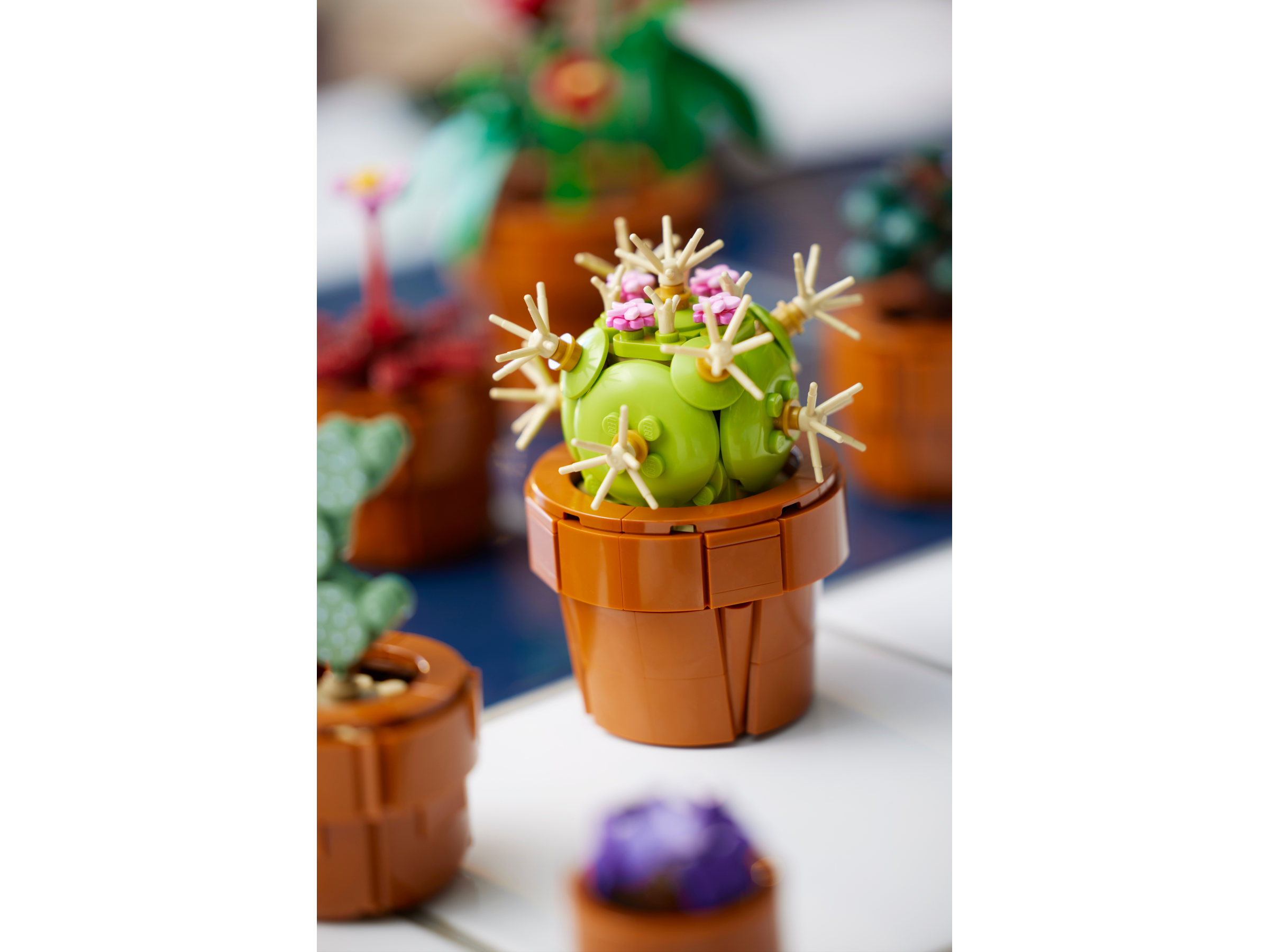 LEGO ICONS Mini Pflanzen 10329 - Bild 7