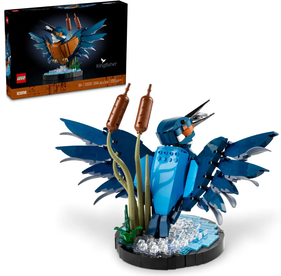 LEGO ICONS Eisvogel 10331 - Bild 4