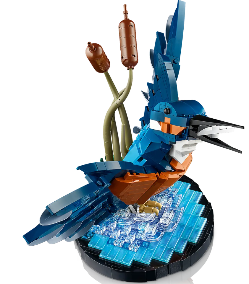 LEGO ICONS Eisvogel 10331 - Bild 2