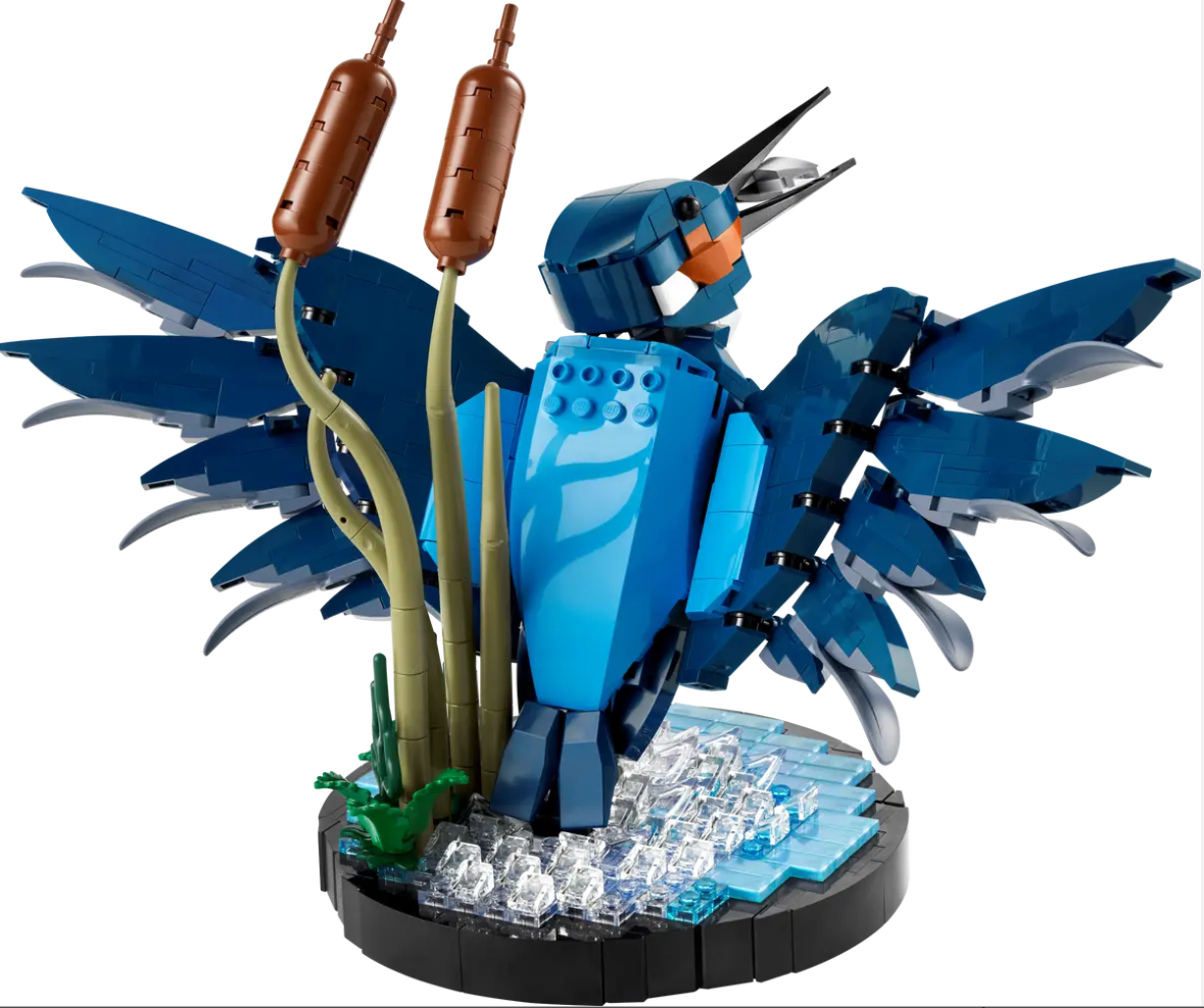LEGO ICONS Eisvogel 10331 - Bild 3