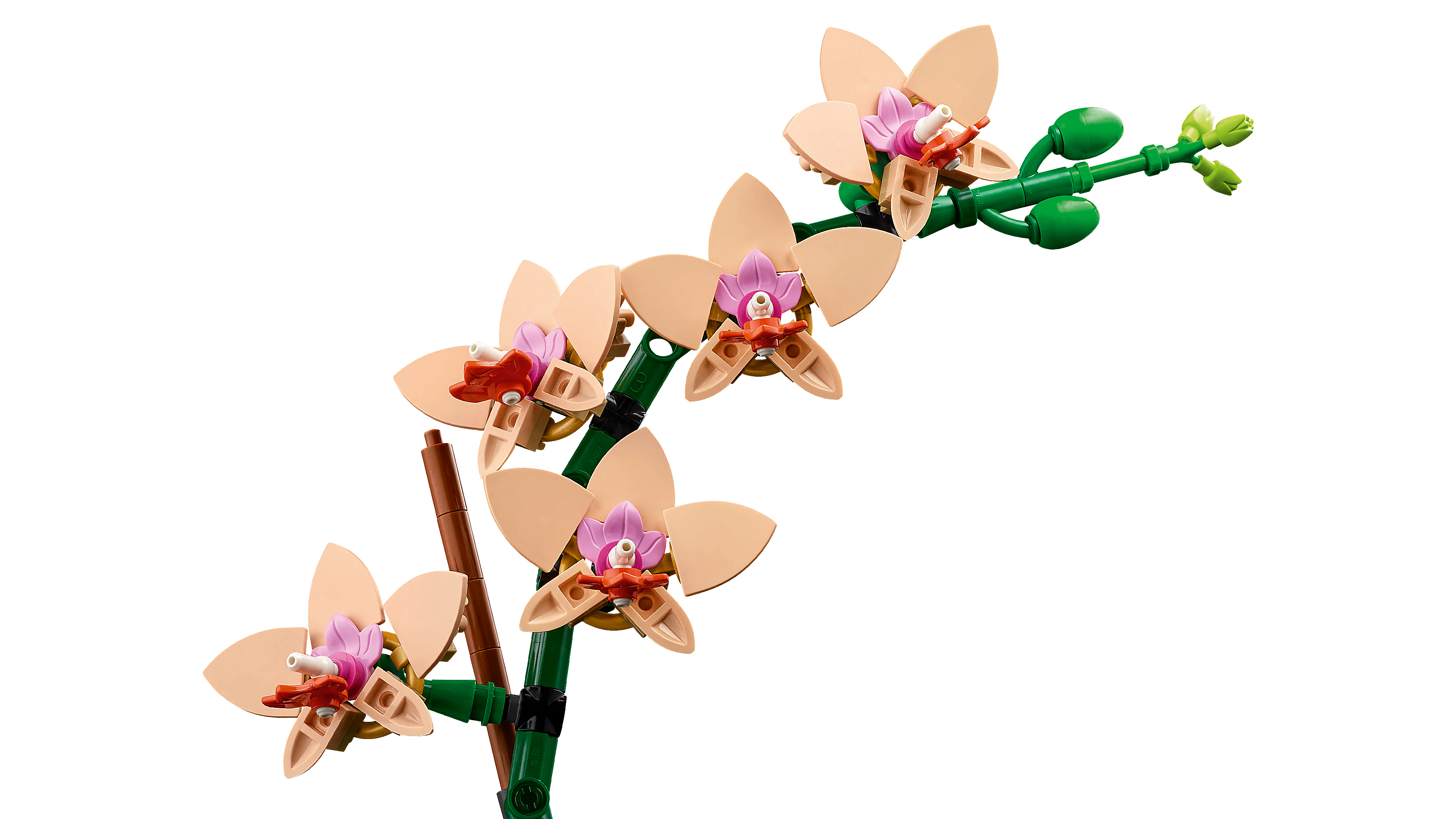 LEGO Icons Mini - Orchidee 10343 - Bild 3