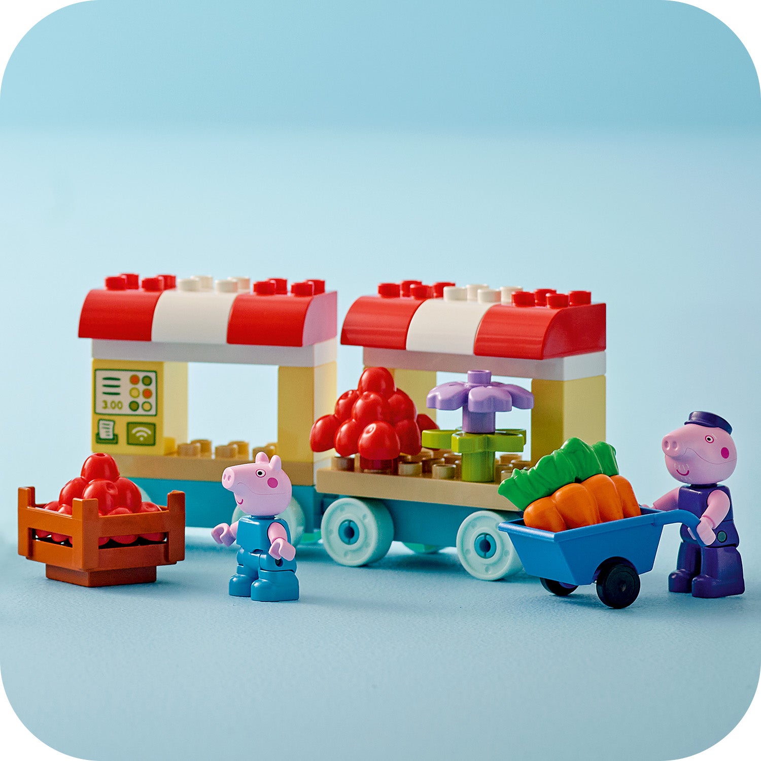 LEGO DUPLO  Opas Garten und Gewächshaus 10461 - Bild 7