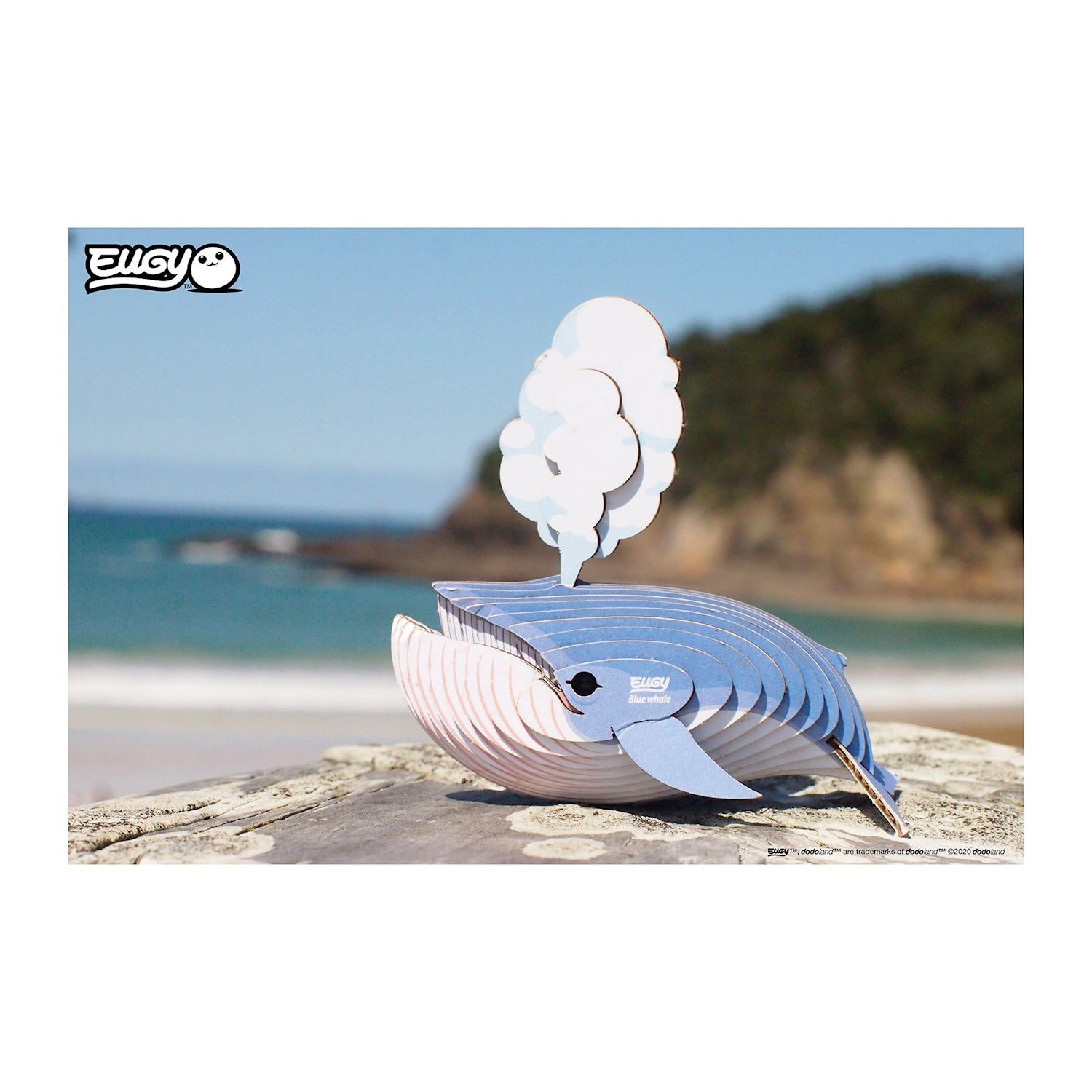 3D Bastelset  Blauwal - Bild 4