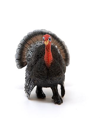 Schleich Truthahn 13900 - Bild 2
