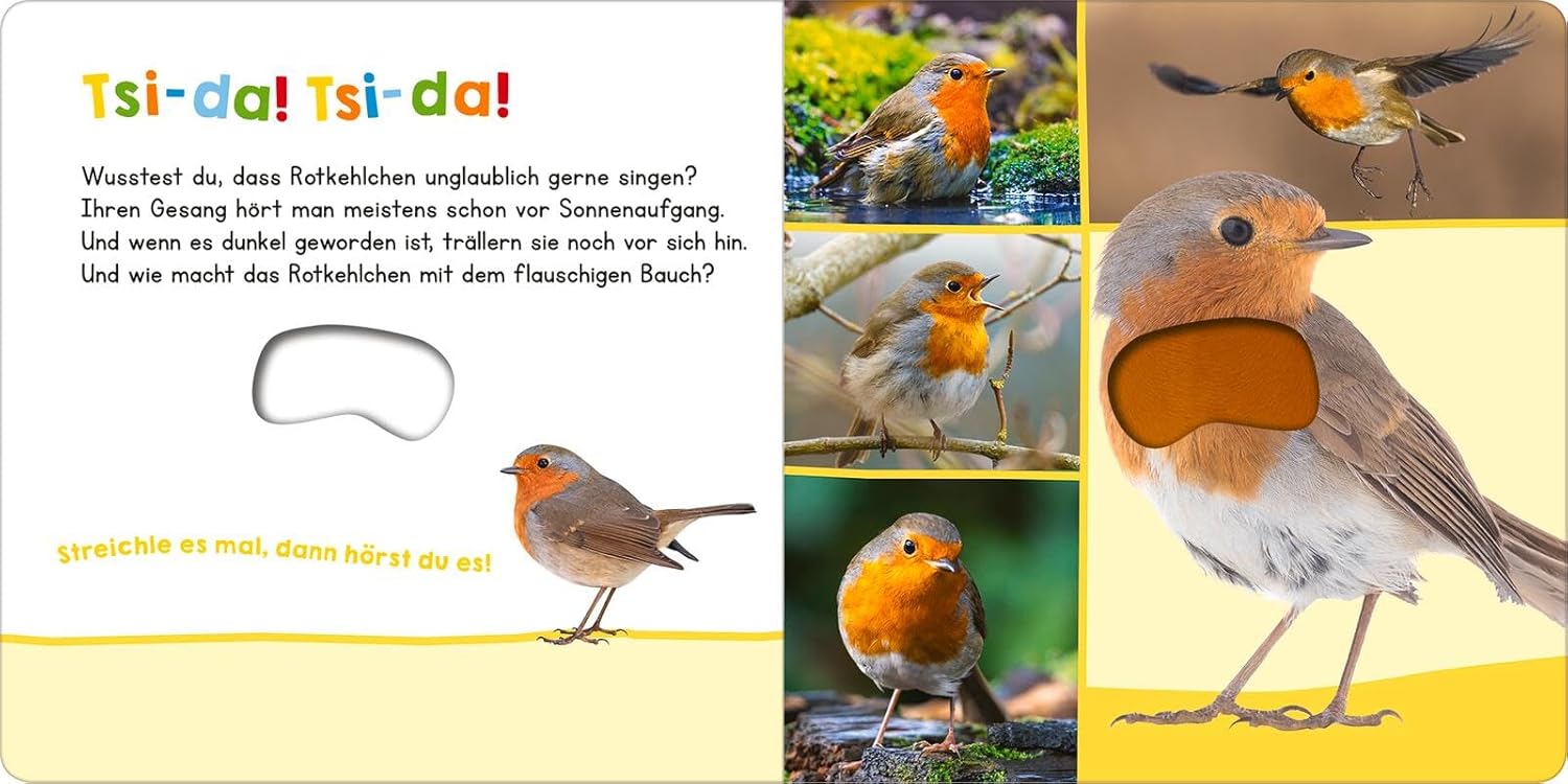 Hör mal rein, wer kann das sein?  Vögel - Bild 2