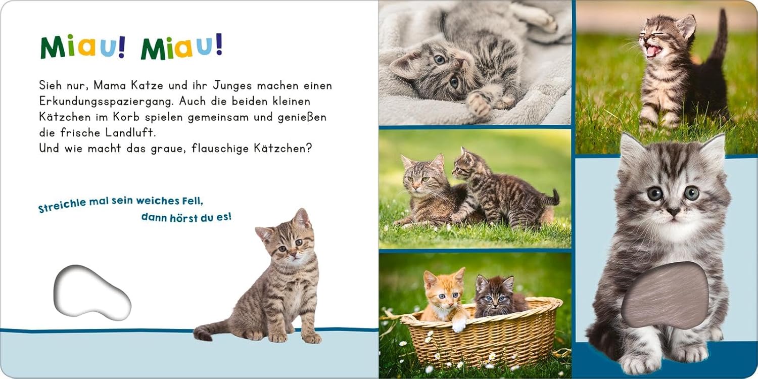 Hör mal rein, wer kann das sein?  Meine ersten Tiere - Bild 2