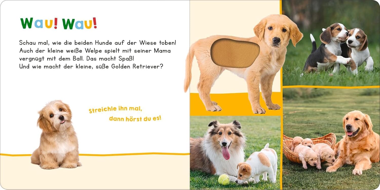 Hör mal rein, wer kann das sein?  Meine ersten Tiere - Bild 3