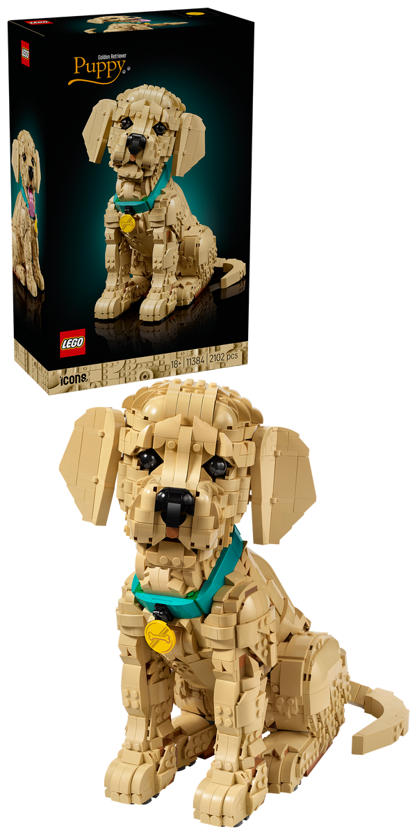Verpackung und fertiges Modell des LEGO Icons Golden Retriever Welpen nebeneinander