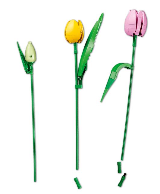 LEGO Botanical 111501 Tulpenstrauss - Bild 6