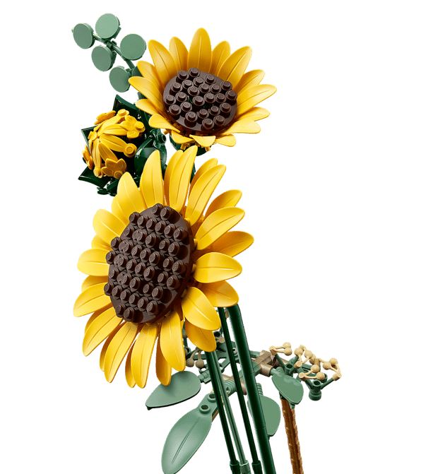 LEGO Botanical 11502 Sonnenblumen - Bild 4