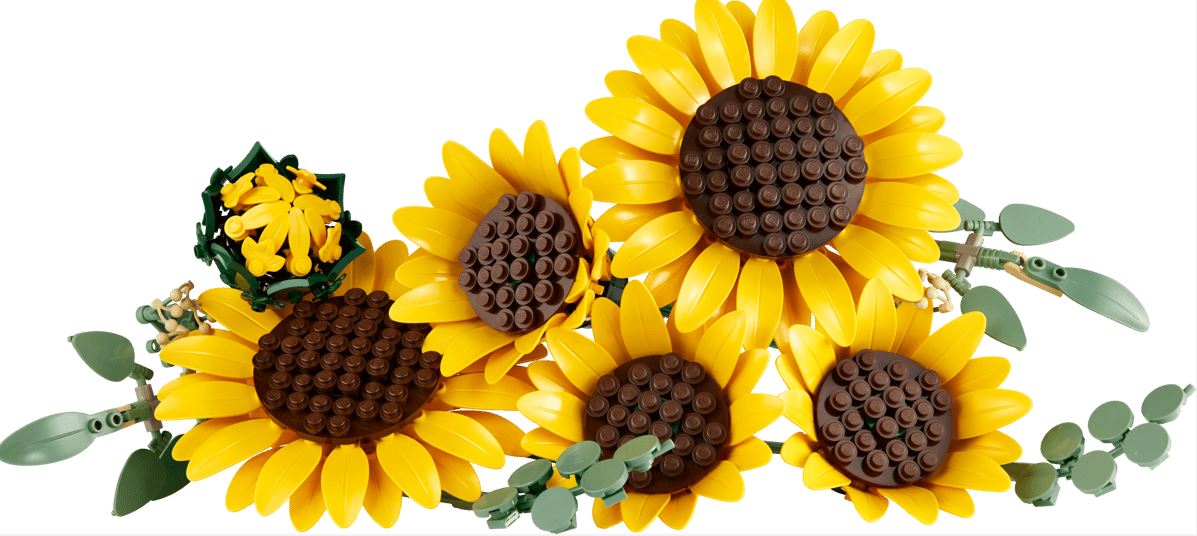 LEGO Botanical 11502 Sonnenblumen - Bild 3