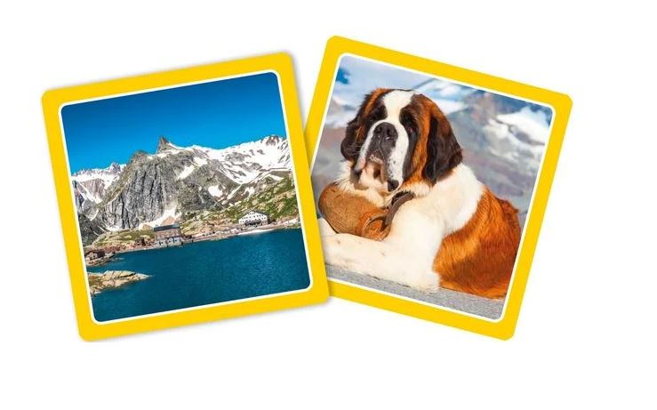 Gesucht und gefunden in der Schweiz - Bild 2