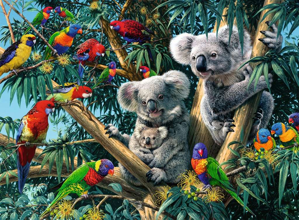Puzzle 500 Teile : Koalas im Baum 00.206 - Bild 2