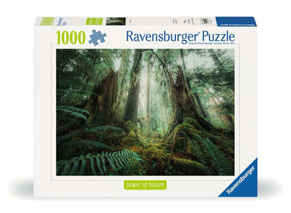 Puzzle 1000 Teile Faszinierender Wald 00.292