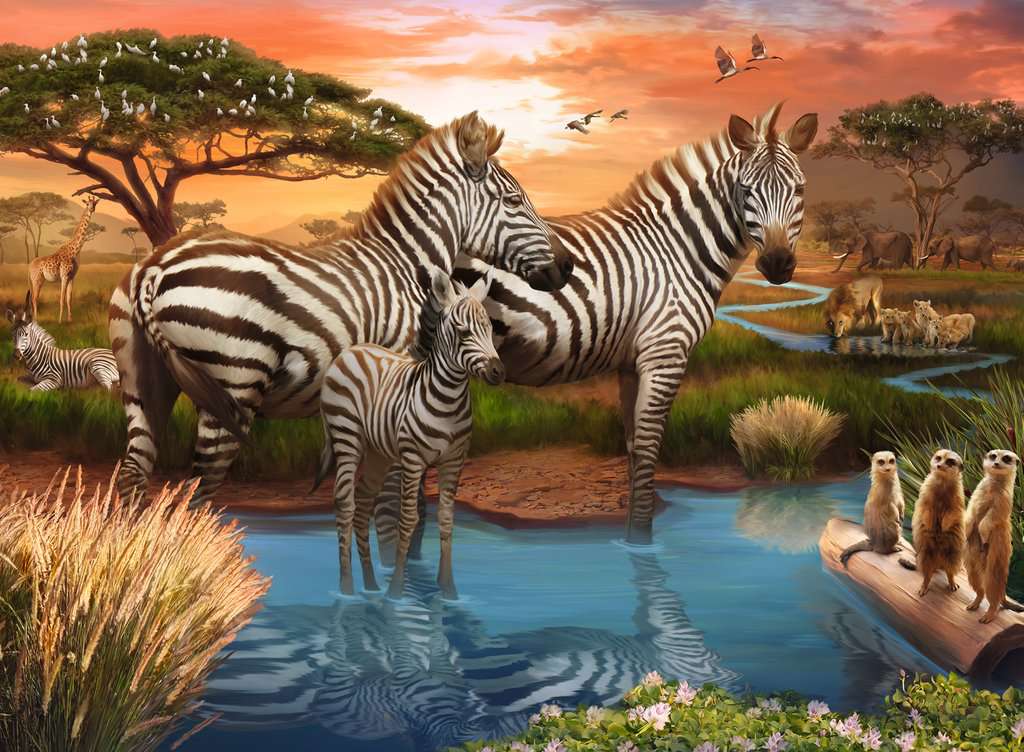 Puzzle 500 Teile Zebras am Wasserloch 00.365 - Bild 2