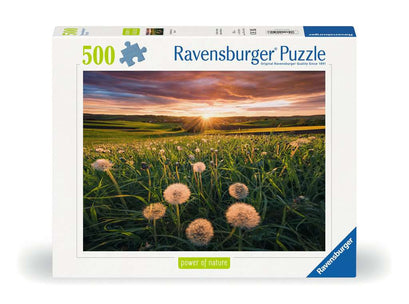 Puzzle 500 Teile Pusteblumen im Sonnenuntergang 00.592