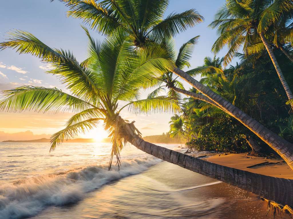 Puzzle 1500 Teile Strandgeheimnis 00.693 - Bild 2